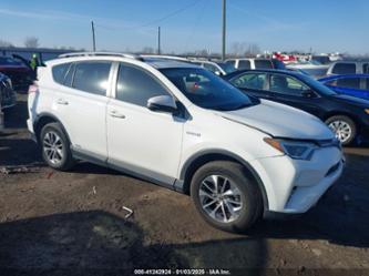 TOYOTA RAV4 HYBRID XLE