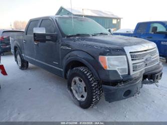 FORD F-150 PLATINUM