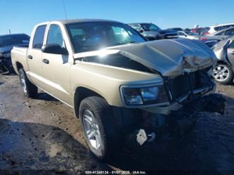 RAM DAKOTA BIGHORN/LONESTAR