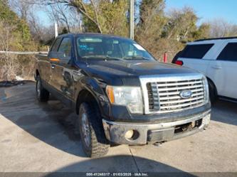 FORD F-150 XLT