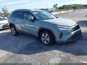 TOYOTA RAV4 XLE