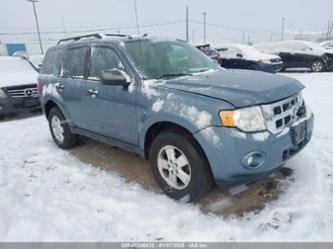 FORD ESCAPE XLT