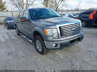 FORD F-150 XLT