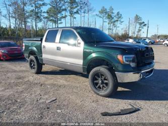 FORD F-150 XLT