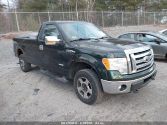 FORD F-150 XLT