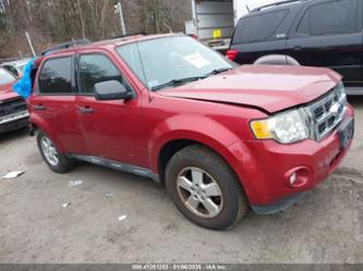 FORD ESCAPE XLT