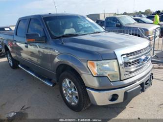 FORD F-150 XLT