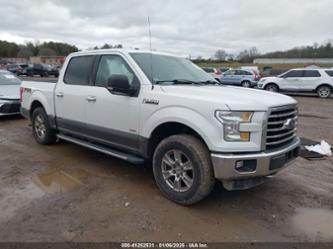 FORD F-150 XLT