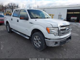 FORD F-150 XLT