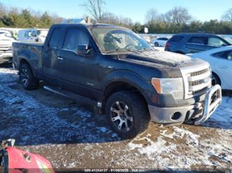 FORD F-150 XLT