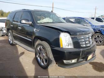 CADILLAC ESCALADE LUXURY