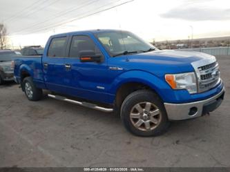 FORD F-150 XLT