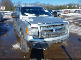 FORD F-150 XLT