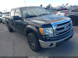 FORD F-150 XLT