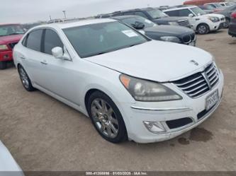 HYUNDAI EQUUS SIGNATURE