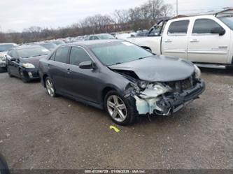 TOYOTA CAMRY SE