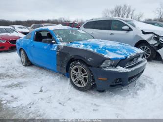 FORD MUSTANG V6