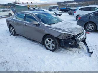 CHEVROLET MALIBU 1LT