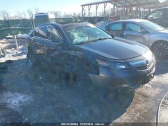 ACURA TL 3.5 SPECIAL EDITION