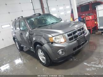 FORD ESCAPE XLT