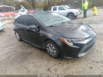 TOYOTA COROLLA HYBRID LE