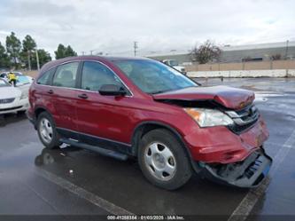 HONDA CR-V LX