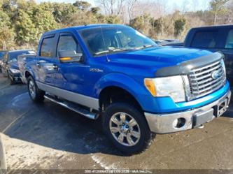 FORD F-150 XL/XLT