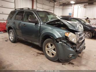 FORD ESCAPE XLT