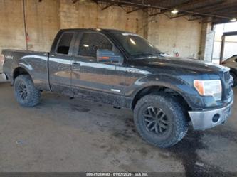 FORD F-150 XLT