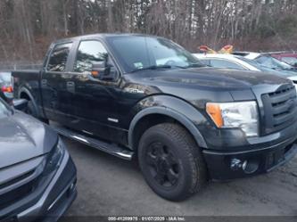 FORD F-150 FX4/LARIAT/XL/XLT