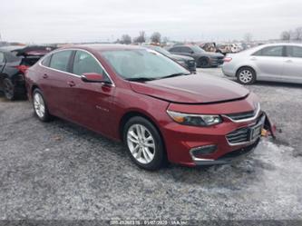 CHEVROLET MALIBU 1LT