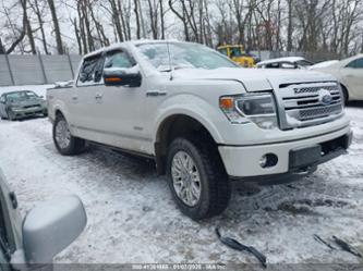 FORD F-150 PLATINUM