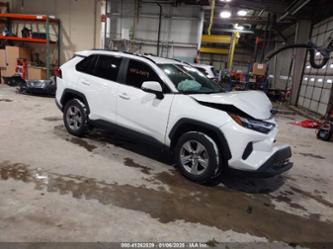 TOYOTA RAV4 XLE