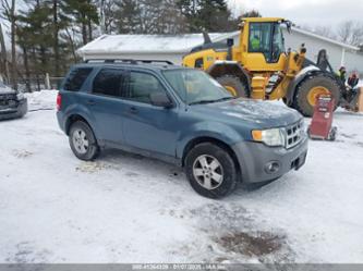 FORD ESCAPE XLT