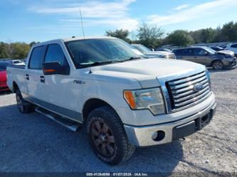 FORD F-150 FX4/HARLEY-DAVIDSON/KING RANCH/LARIAT/PLATINUM/XL/XLT