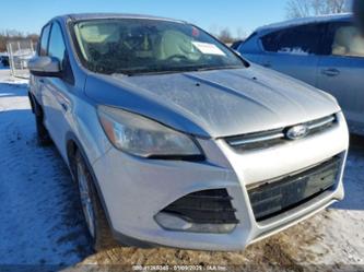 FORD ESCAPE SEL