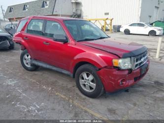 FORD ESCAPE XLS