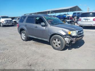 FORD ESCAPE XLT