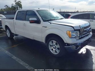 FORD F-150 FX2 SPORT/HARLEY-DAVIDSON/KING RANCH/LARIAT/PLATINUM/XL/XLT