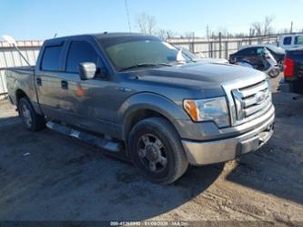 FORD F-150 FX2 SPORT/XL/XLT