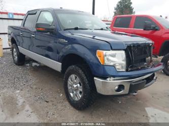 FORD F-150 XLT