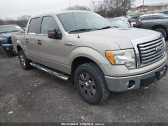 FORD F-150 FX4/HARLEY-DAVIDSON/KING RANCH/LARIAT/PLATINUM/XL/XLT