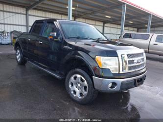 FORD F-150 FX4/LARIAT/XL/XLT