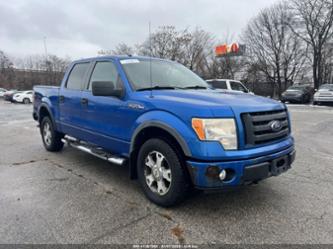 FORD F-150 FX4/HARLEY-DAVIDSON/KING RANCH/LARIAT/PLATINUM/XL/XLT