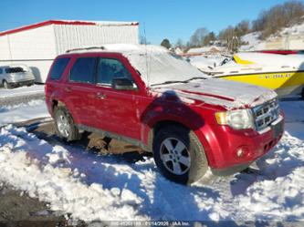 FORD ESCAPE XLT