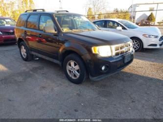 FORD ESCAPE XLT