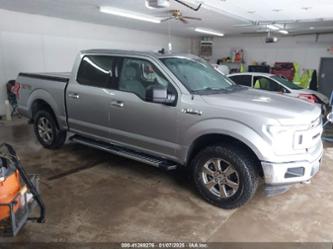 FORD F-150 XLT