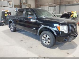 FORD F-150 FX4