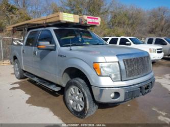 FORD F-150 XLT