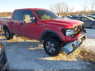 FORD F-150 FX4/HARLEY-DAVIDSON/KING RANCH/LARIAT/PLATINUM/XL/XLT